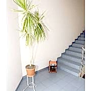 Тепловая пушка Тепломаш КЭВ-3С41Е