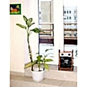 Тепловая пушка Тепломаш КЭВ-4С40Е